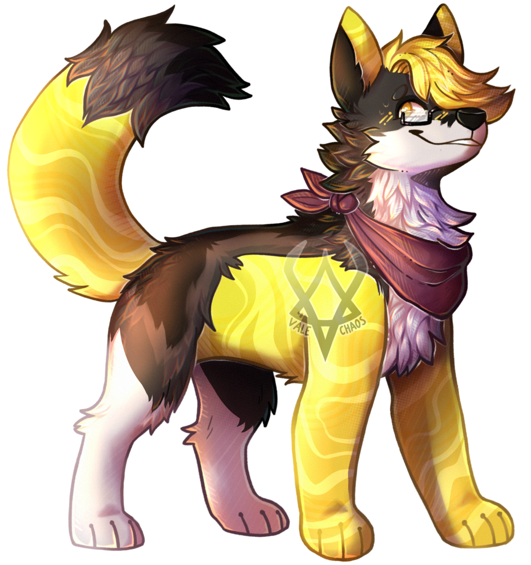 Kimbaderp Fullbody
